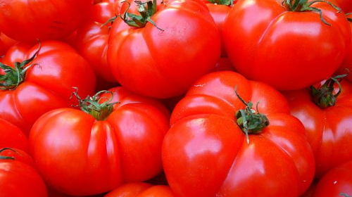 DEUSTUKO JAIAK: Concurso gastronómico de tomate